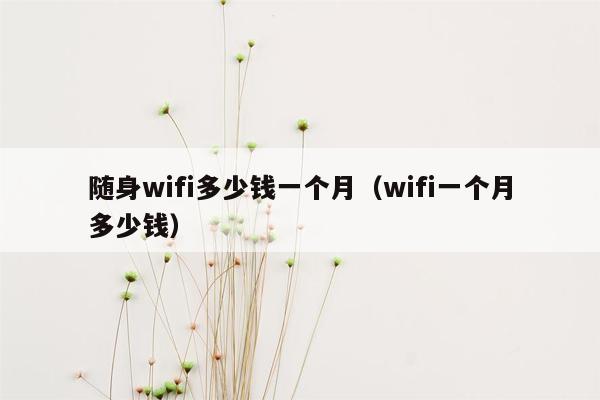 随身wifi多少钱一个月（wifi一个月多少钱）