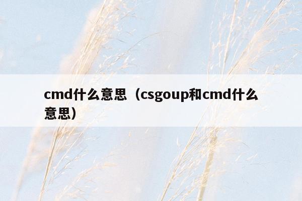 cmd什么意思（csgoup和cmd什么意思）