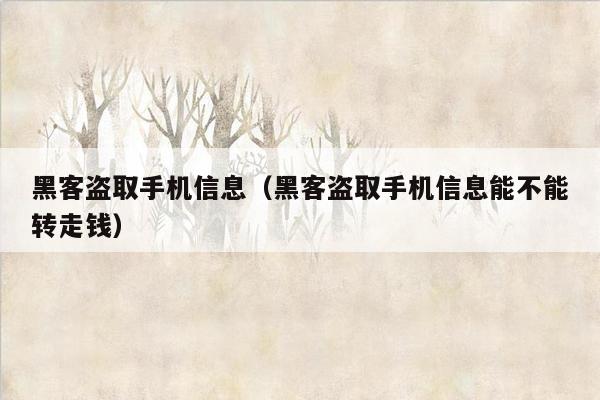 黑客盗取手机信息（黑客盗取手机信息能不能转走钱）