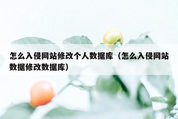 怎么入侵网站修改个人数据库（怎么入侵网站数据修改数据库）