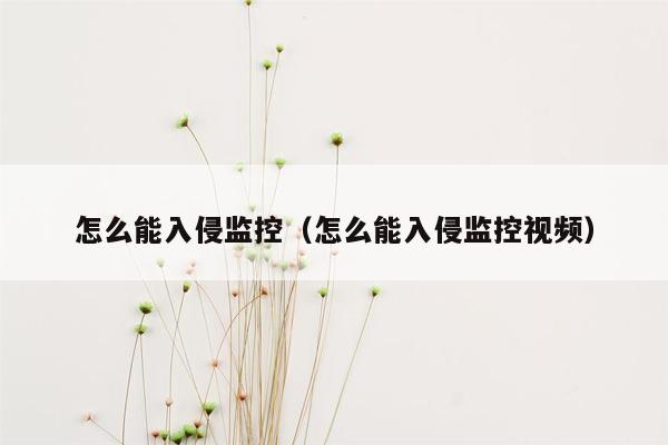 怎么能入侵监控（怎么能入侵监控视频）