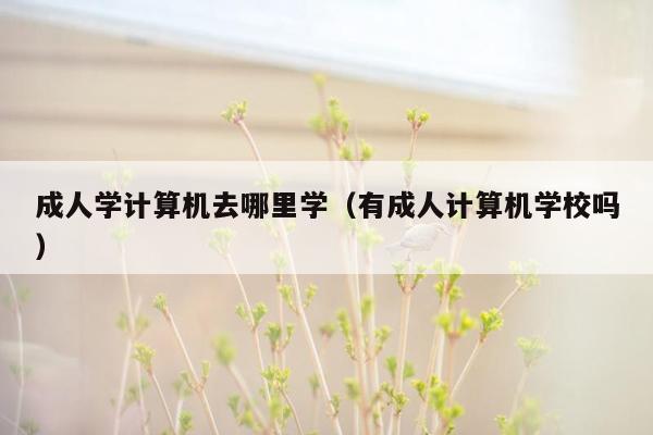 成人学计算机去哪里学（有成人计算机学校吗）