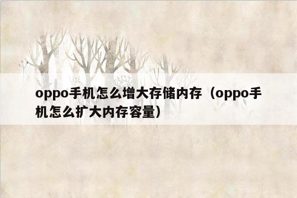 oppo手机怎么增大存储内存（oppo手机怎么扩大内存容量）