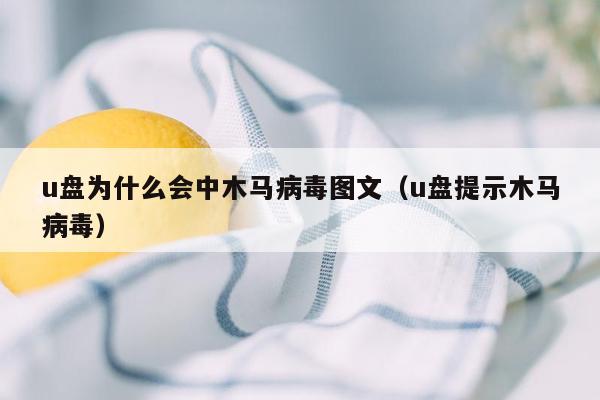 u盘为什么会中木马病毒图文（u盘提示木马病毒）