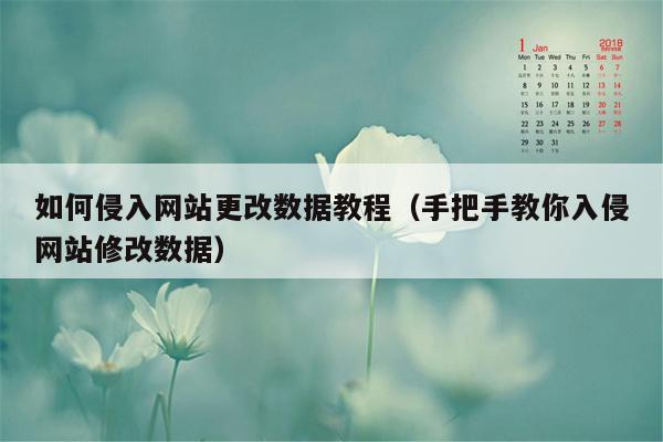 如何侵入网站更改数据教程（手把手教你入侵网站修改数据）