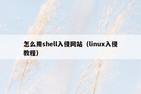 怎么用shell入侵网站（linux入侵教程）