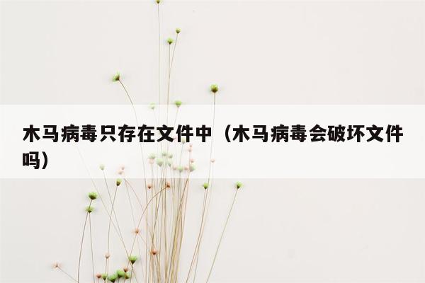 木马病毒只存在文件中（木马病毒会破坏文件吗）