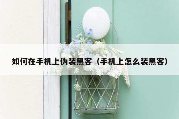 如何在手机上伪装黑客（手机上怎么装黑客）