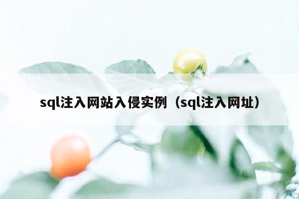 sql注入网站入侵实例（sql注入网址）