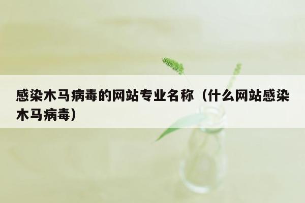 感染木马病毒的网站专业名称（什么网站感染木马病毒）