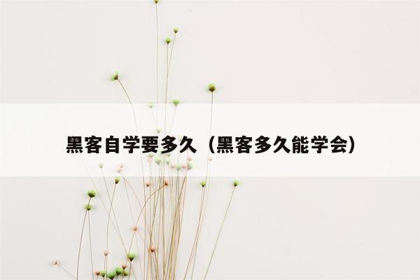 黑客自学要多久（黑客多久能学会）