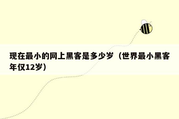 现在最小的网上黑客是多少岁（世界最小黑客年仅12岁）