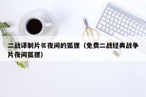 二战译制片巛夜间的狐狸（免费二战经典战争片夜间狐狸）