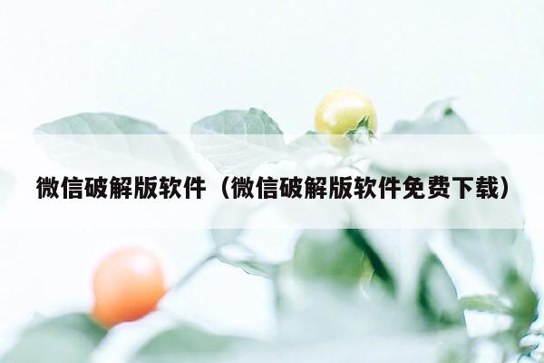 微信破解版软件（微信破解版软件免费下载）