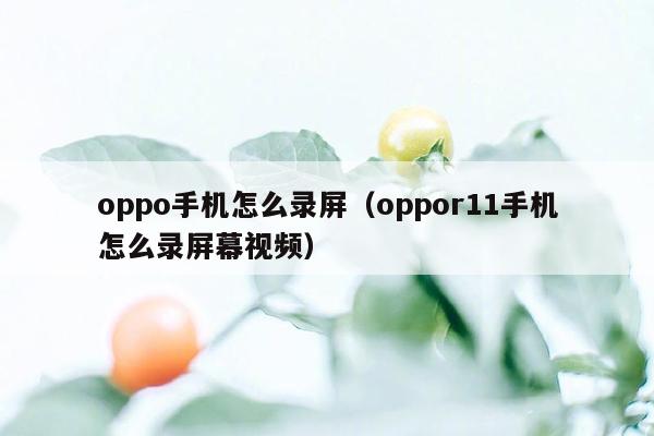 oppo手机怎么录屏（oppor11手机怎么录屏幕视频）