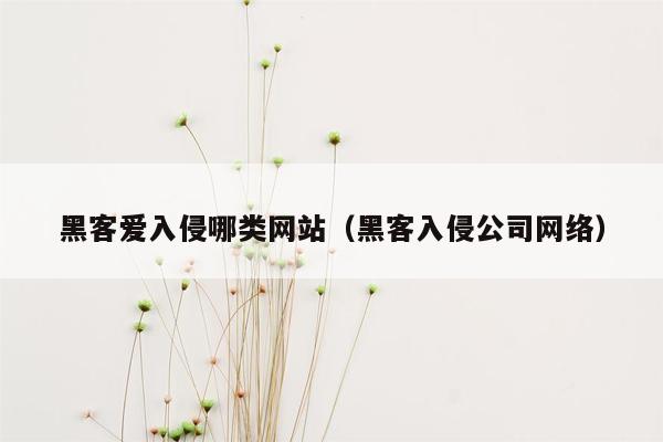 黑客爱入侵哪类网站（黑客入侵公司网络）