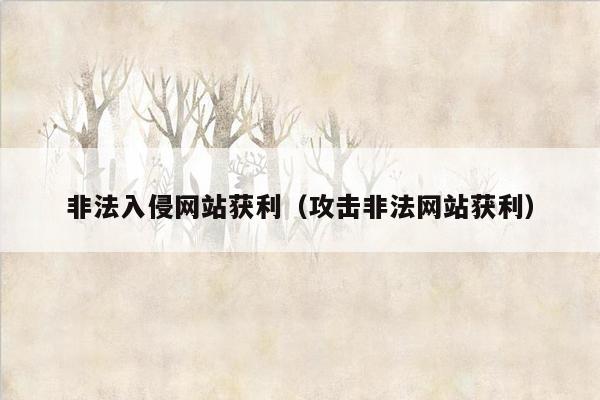 非法入侵网站获利（攻击非法网站获利）