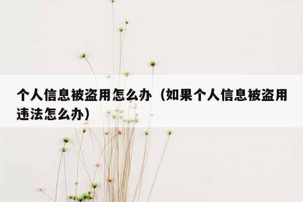 个人信息被盗用怎么办（如果个人信息被盗用违法怎么办）