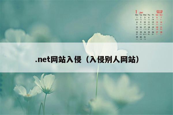 .net网站入侵（入侵别人网站）