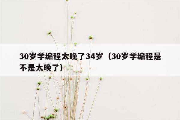 30岁学编程太晚了34岁（30岁学编程是不是太晚了）