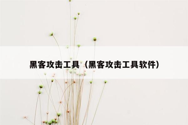 黑客攻击工具（黑客攻击工具软件）