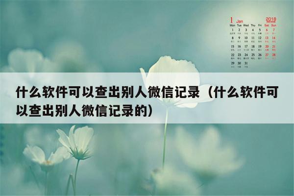 什么软件可以查出别人微信记录（什么软件可以查出别人微信记录的）