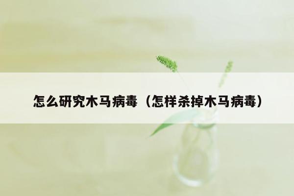 怎么研究木马病毒（怎样杀掉木马病毒）