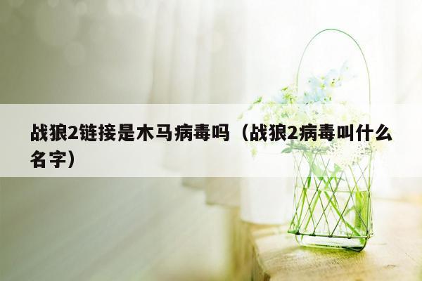 战狼2链接是木马病毒吗（战狼2病毒叫什么名字）