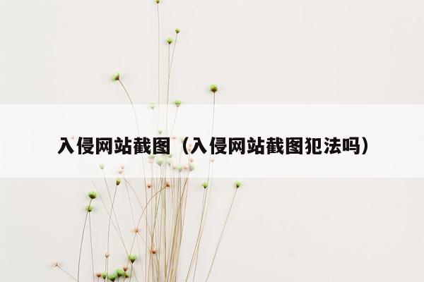 入侵网站截图（入侵网站截图犯法吗）