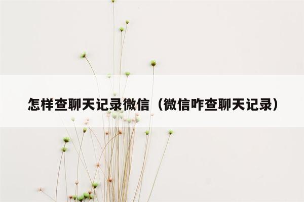 怎样查聊天记录微信（微信咋查聊天记录）