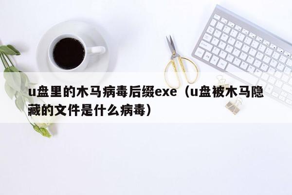 u盘里的木马病毒后缀exe（u盘被木马隐藏的文件是什么病毒）