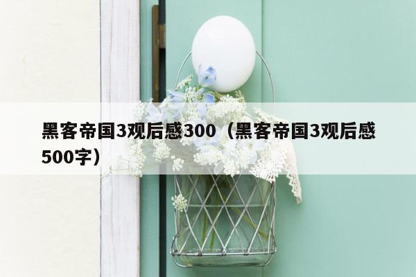 黑客帝国3观后感300（黑客帝国3观后感500字）