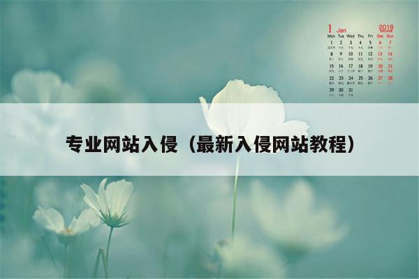 专业网站入侵（最新入侵网站教程）