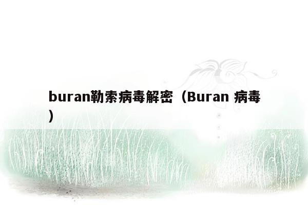 buran勒索病毒解密（Buran 病毒）