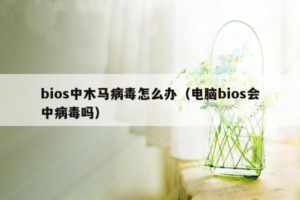 bios中木马病毒怎么办（电脑bios会中病毒吗）