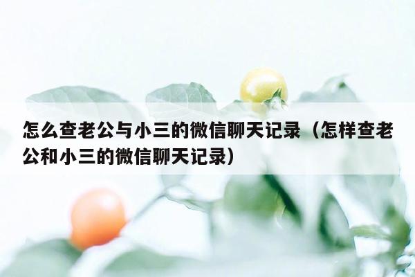 怎么查老公与小三的微信聊天记录（怎样查老公和小三的微信聊天记录）