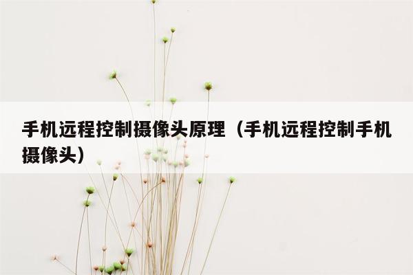 手机远程控制摄像头原理（手机远程控制手机摄像头）