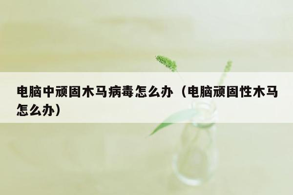 电脑中顽固木马病毒怎么办（电脑顽固性木马怎么办）