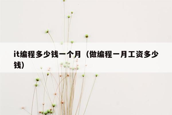 it编程多少钱一个月（做编程一月工资多少钱）