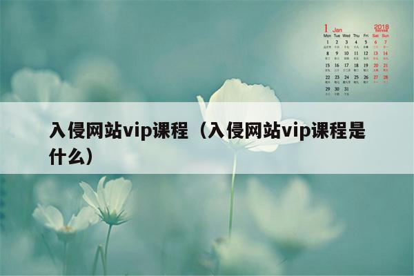 入侵网站vip课程（入侵网站vip课程是什么）