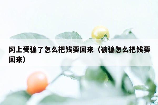 网上受骗了怎么把钱要回来（被骗怎么把钱要回来）