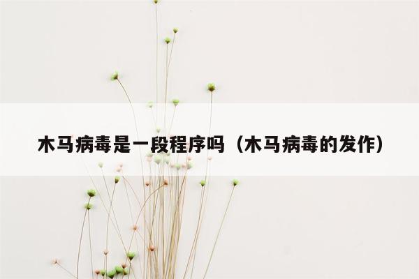 木马病毒是一段程序吗（木马病毒的发作）