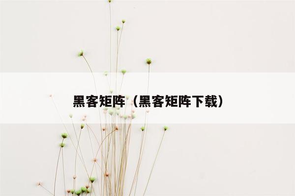 黑客矩阵（黑客矩阵下载）