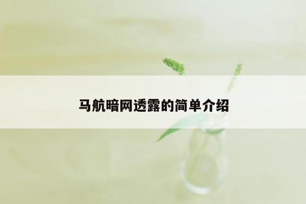 马航暗网透露的简单介绍