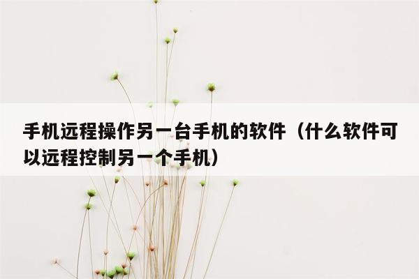 手机远程操作另一台手机的软件（什么软件可以远程控制另一个手机）