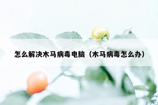 怎么解决木马病毒电脑（木马病毒怎么办）