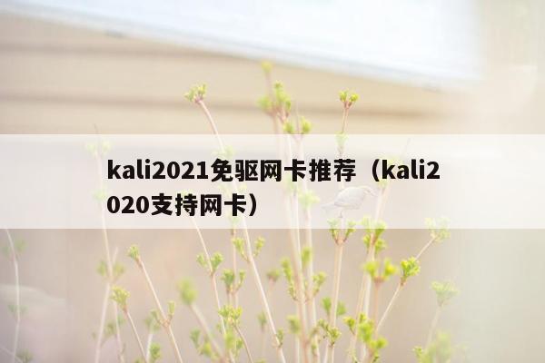 kali2021免驱网卡推荐（kali2020支持网卡）