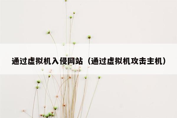 通过虚拟机入侵网站（通过虚拟机攻击主机）