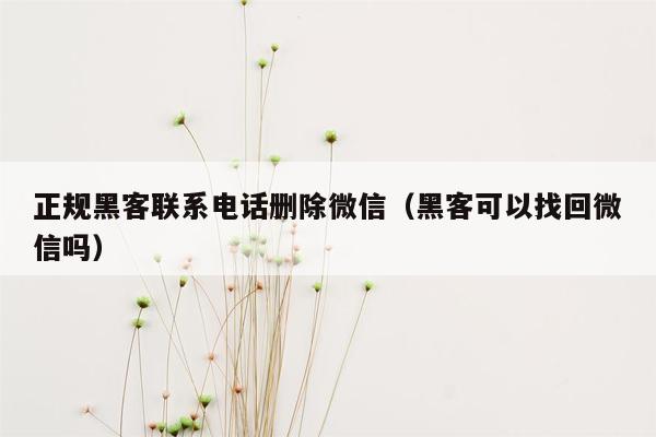 正规黑客联系电话删除微信（黑客可以找回微信吗）