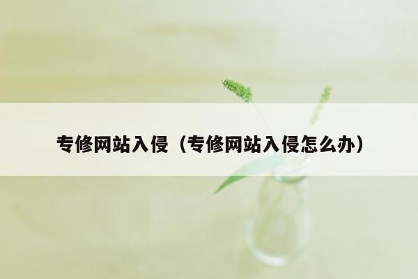 专修网站入侵（专修网站入侵怎么办）